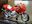 Afbeelding van Moto Guzzi Daytona 1000 1:24 blister