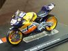 Picture of Nicky Hayden Honda RC211V 2004 1:24