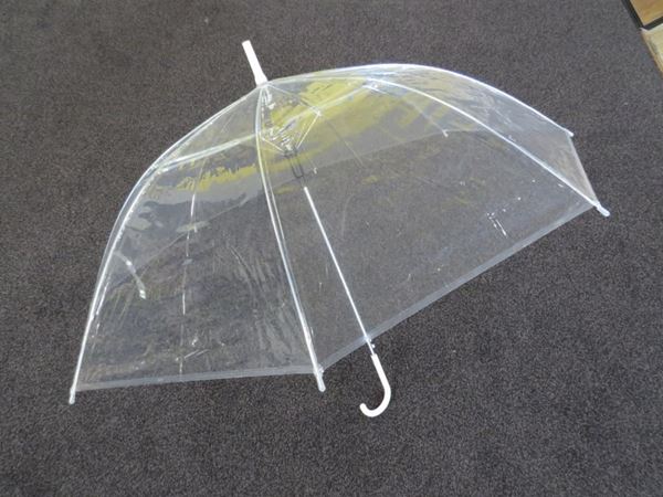 Picture of MotoGP umbrella paraplu Transparant Clear