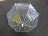 Picture of MotoGP umbrella paraplu Transparant Clear