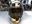 Afbeelding van Monster Energy helm / vizier foil sticker