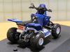 Picture of Bruno Da Costa Dakar Yamaha 700 Raptor 1:43