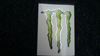 Picture of foil sticker Monster Energy 13 x 9