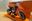 Afbeelding van KTM 450 SX-F 1:6 49453