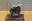 Afbeelding van Valentino Rossi AGV helmet last season 2021 1:5