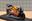 Afbeelding van Alex Criville Honda NSR500 1999 1:24