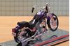 Picture of Harley Davidson FXSTS Springer Softail 2001 1:18 (132)