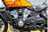 Picture of Harley Davidson PAN AMERICA 1250  1:18