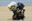 Afbeelding van Joe Bar Jeremie Lapuree pocket bike 1:18 JB105 vlek los