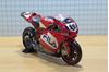 Picture of Neil Hodgson Ducati 999 2003 1:12