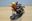 Afbeelding van Joe Bar Gege les Rotules Yamaha 350 RD 1:18 breuk
