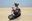 Afbeelding van Joe Bar Sam Lascoud Yamaha 360 RD 1:18 BREUK