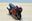 Afbeelding van Honda CBR600F 1:18 los
