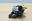 Afbeelding van Joe Bar Gege French Barry Suzuki 500 RG 1:18 jb166 los