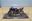 Afbeelding van 24 hours Bol d'Or Yamaha R7 1:24 Deletang Foret Willis