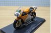Picture of Neil Hodgson Ducati 996R 2001 1:24