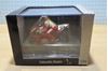 Picture of Neil Hodgson Ducati 916 1996 1:24 onyx XM039