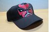 Picture of Fabio Quartararo big diablo baseball cap pet 2243802