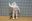 Afbeelding van Michelin sleutelhanger keyring