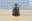 Afbeelding van guardian bell wings black cross